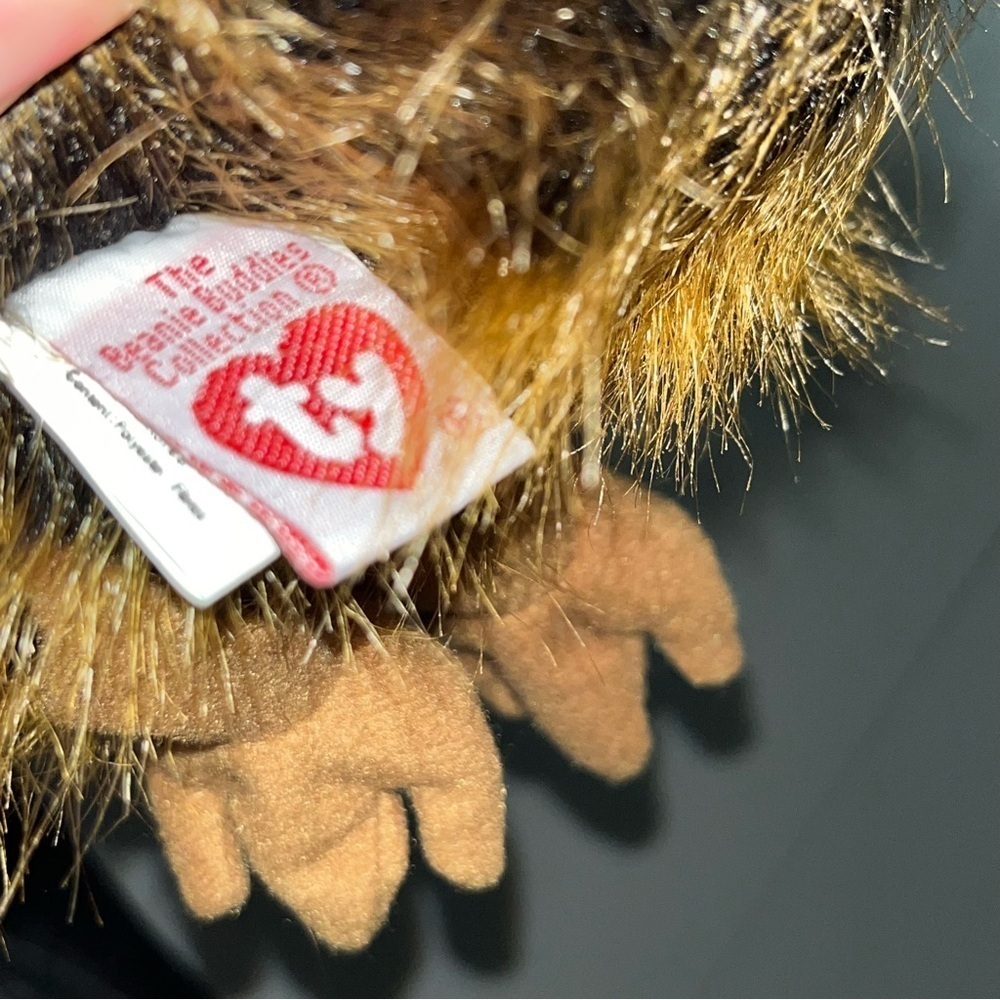 Ty “Beak the Kiwi Bird" Retired Ty Beanie Baby Buddy 1998 Vintage - Picture 9 of 13